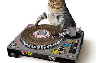 grattoir-dj-chat