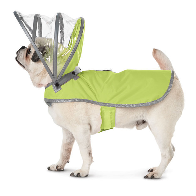 dog-raincoat