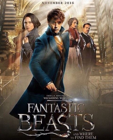Affiche du film Fantastic Beasts and Where to Find Them
