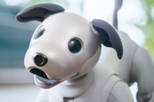 aibo le chien-robot de Sony