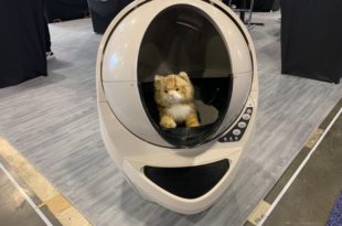 Litter-Robot Animaux