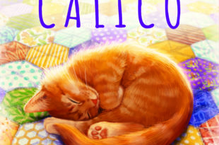 Calico boîte