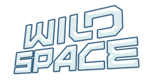 Wild Space logo