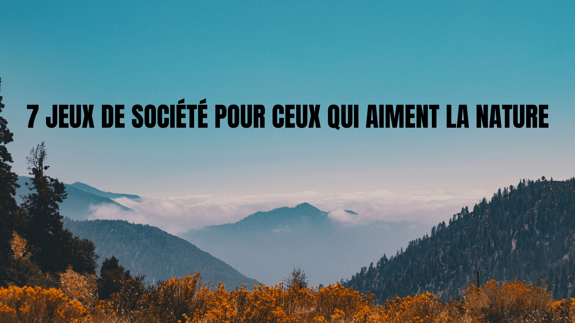 ON JOUE À FORET MIXTE ], Jeu de société