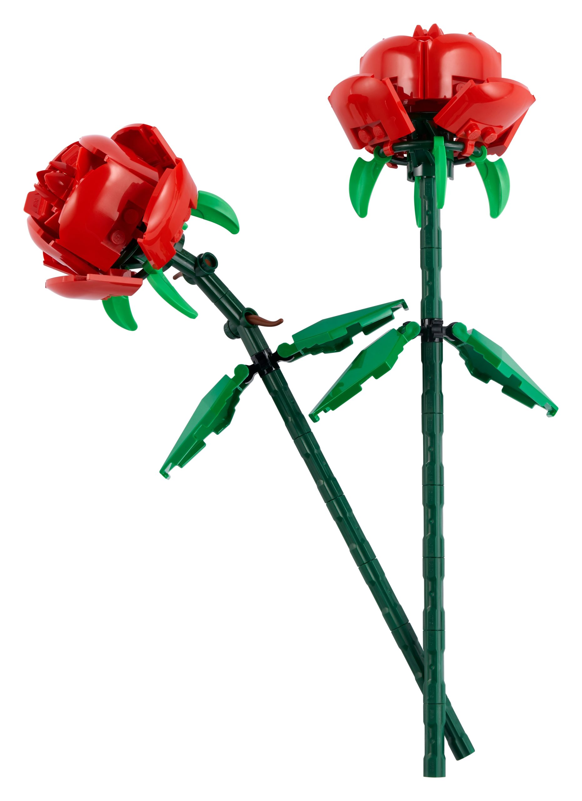 Les fleurs séchées 10314 | The Botanical Collection | Boutique LEGO®  officielle CA