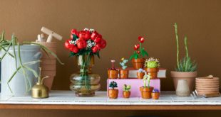 LEGO bouquet de roses et petites plantes