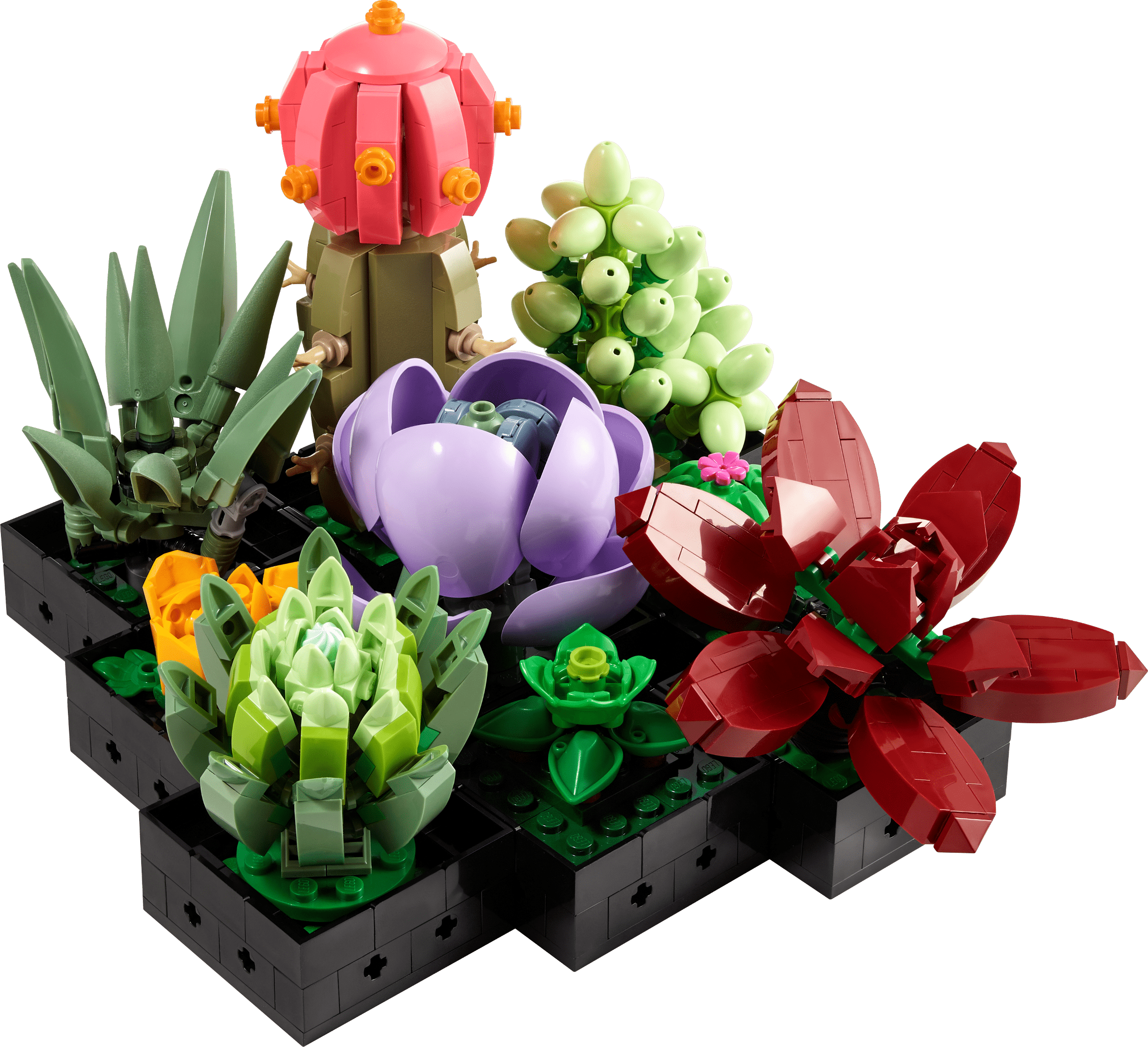 LEGO Les succulentes
