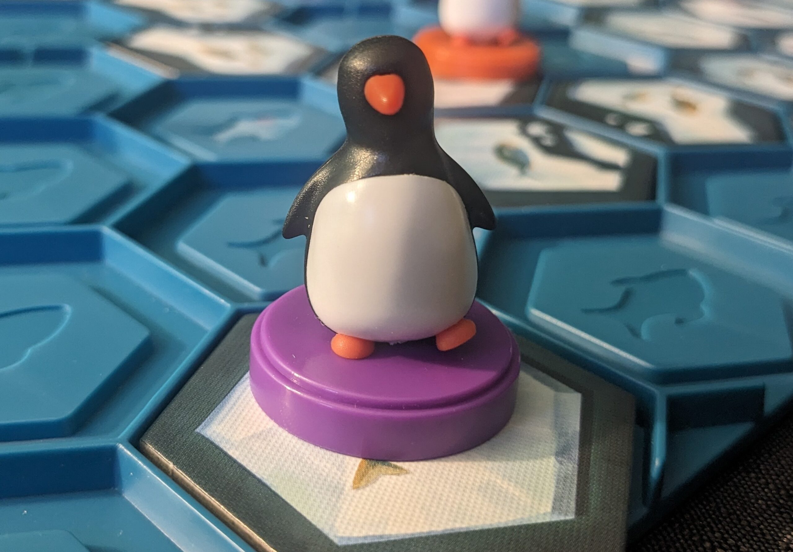 Un pingouin isolé