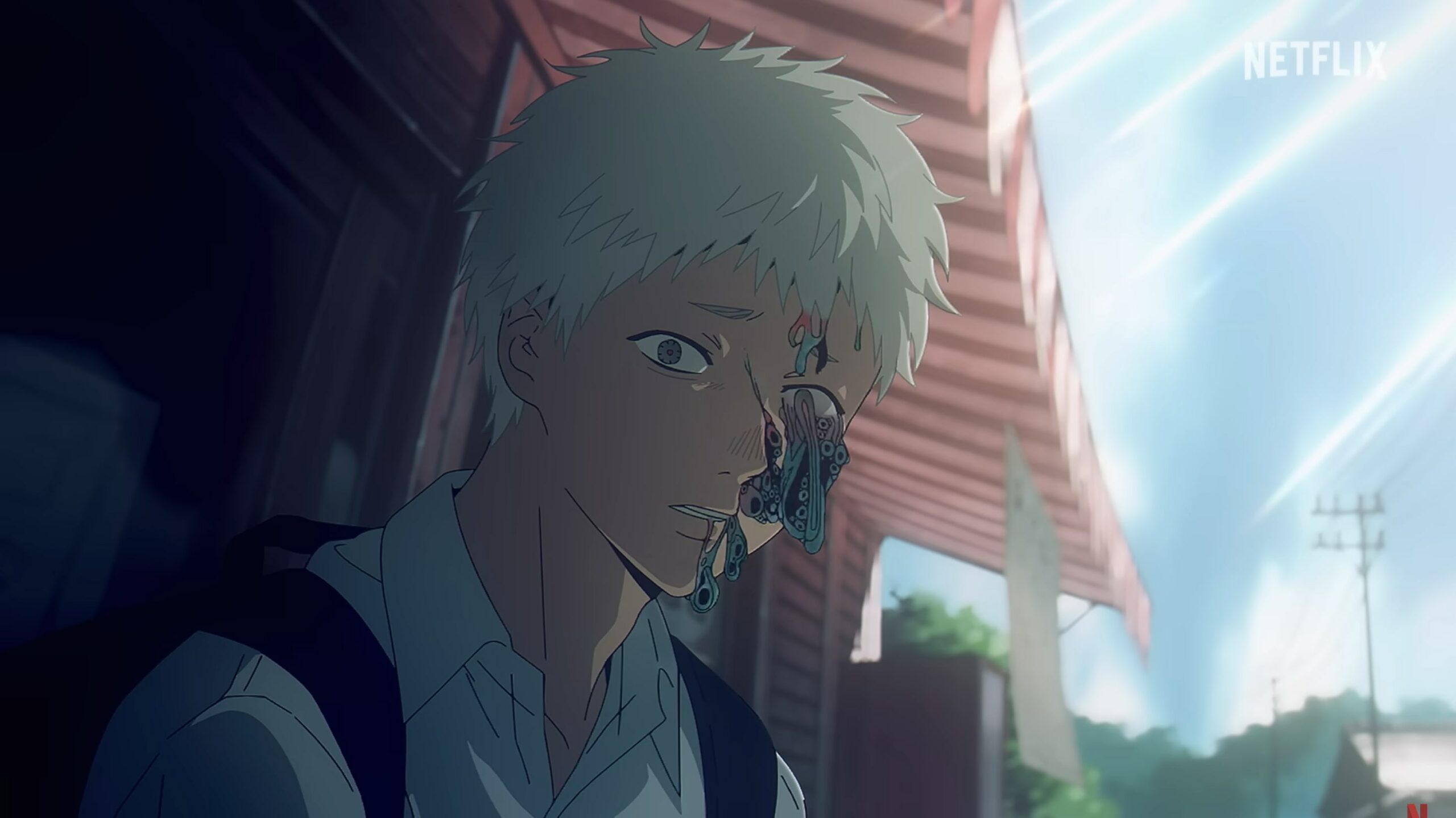 the summer hikaru died