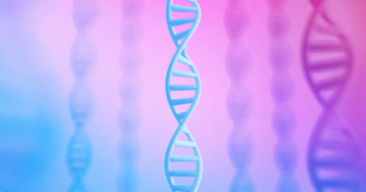 Visualisation du génome humain représentant les analyses d’intelligence artificielle de Google Research pour la détection du cancer.