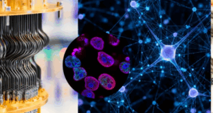 Illustration symbolisant la recherche scientifique et les innovations de Google Research.