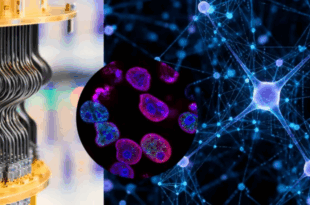 Illustration symbolisant la recherche scientifique et les innovations de Google Research.