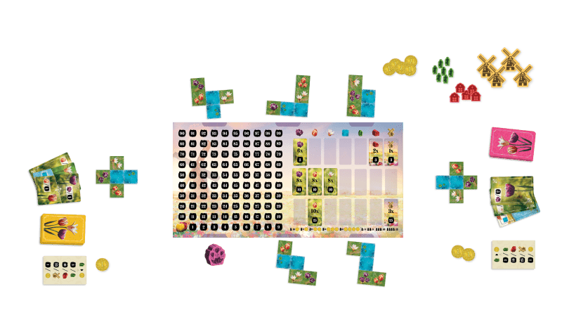 Mise en place pour deux joueuses