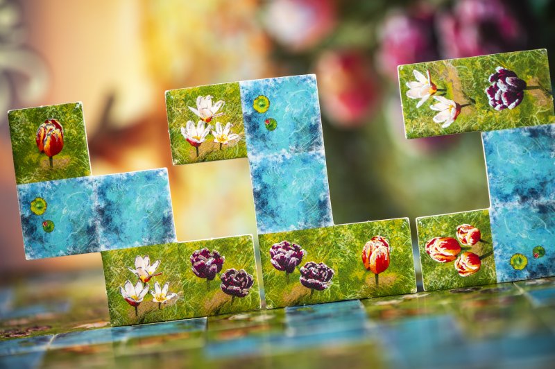 Des tuiles Paysage - Photo: Jeux Synapses Games