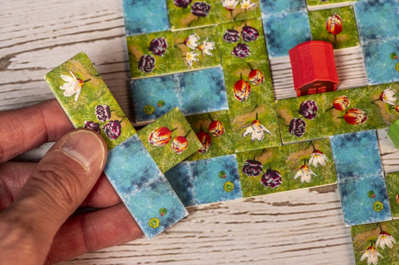 Agrandir notre paysage - Photo: Jeux Synapses Games