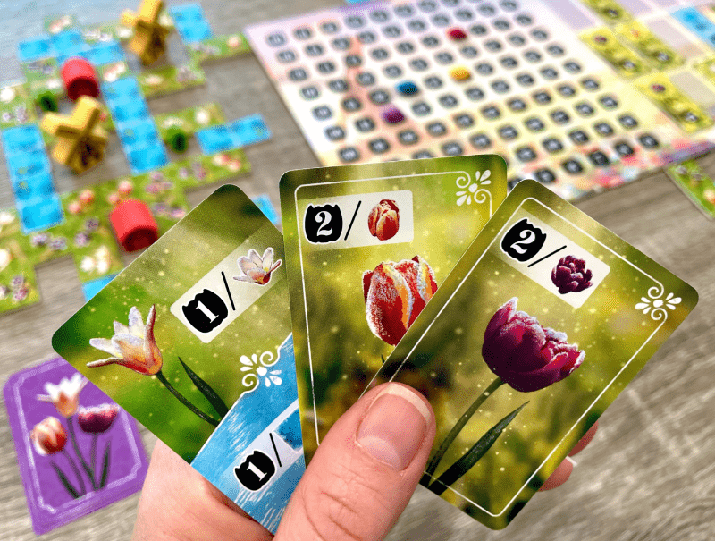 Les cartes Paysage - Photo: Jeux Synapses Games